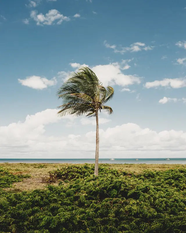 Why Tropical Climates Need Tropical-Safe Makeup